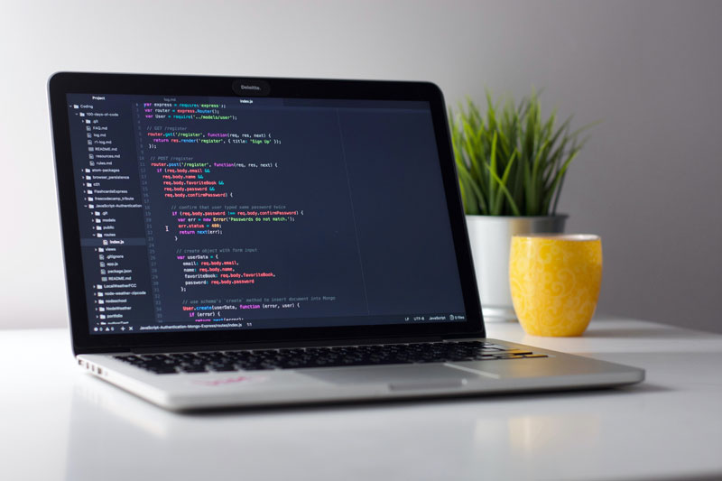 programmer-di-batam